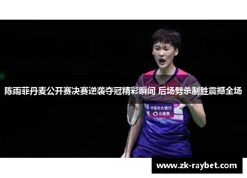 陈雨菲丹麦公开赛决赛逆袭夺冠精彩瞬间 后场劈杀制胜震撼全场
