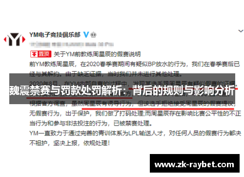 魏震禁赛与罚款处罚解析:背后的规则与影响分析 魏震禁赛与罚款处罚解析:背后的规则与影响分析