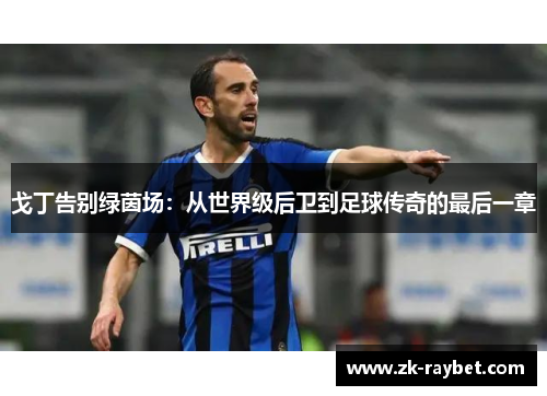 戈丁告别绿茵场：从世界级后卫到足球传奇的最后一章