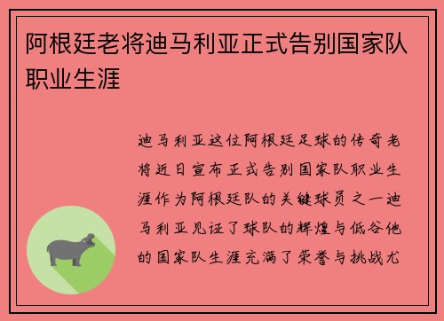 阿根廷老将迪马利亚正式告别国家队职业生涯